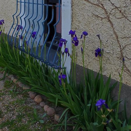 Nostal'Gite Lansargues Buitenkant foto